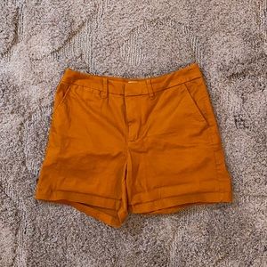 Casual Burnt Orange Shorts